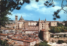 72270427 Urbino  Urbino - Autres & Non Classés