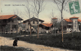 17-SAUJON-Les Chalets Du Parc-N 6004-A/0253 - Saujon