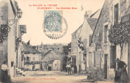 21-FLEUREY-La Grande Rue-N 6004-A/0187 - Sonstige & Ohne Zuordnung