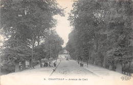 60-CHANTILLY-Avenue De Creil-N 6004-A/0035 - Chantilly