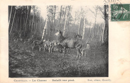 60-CHANTILLY-La Chasse - Halalli Sur Pied-N 6004-A/0037 - Chantilly