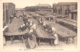 56-QUIBERON-Femmes Des Usines Mettant Leurs Sardines A Secher-N 6003-G/0139 - Quiberon