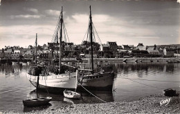 29-CAMARET -SUR-MER-Langoustiers Au Port-N 6003-G/0121 - Camaret-sur-Mer