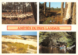 40-LES LANDES-N°4006-B/0021 - Other & Unclassified