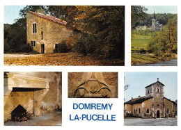 88-DOMREMY LA PUCELLE-N°4006-A/0325 - Domremy La Pucelle