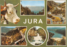 39-JURA-N°4006-A/0317 - Other & Unclassified