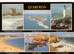 56-QUIBERON-N°4006-A/0095 - Quiberon