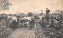 33-BEAUJOLAIS-Les Vendanges-N 6004-E/0365 - Sonstige & Ohne Zuordnung