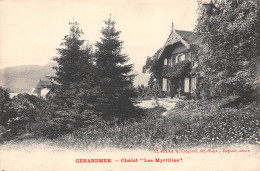 88-GERARDMER- Chalet "Les Myrtilles"-N 6004-E/0187 - Gerardmer