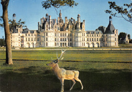 41-CHAMBORD-N°4006-D/0395 - Chambord