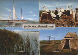 72270204 Oesterreich Neusiedlersee Storchen Pusstamotiv Oesterreich - Autres & Non Classés