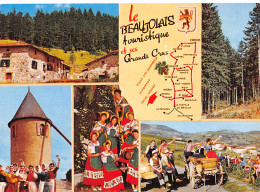 69-BEAUJOLAIS-N°4006-D/0009 - Other & Unclassified