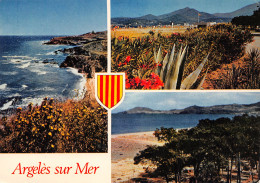 66-ARGELES SUR MER-N°4006-C/0287 - Argeles Sur Mer