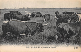 13-CAMARGUE-Manade De Taureaux-N 6005-B/0333 - Autres & Non Classés