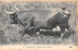 13-CAMARGUE-Taureau-N 6005-B/0331 - Autres & Non Classés