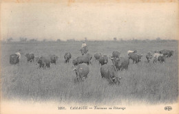 13-CAMARGUE-Taureaux Au Paturage-N 6005-B/0325 - Autres & Non Classés