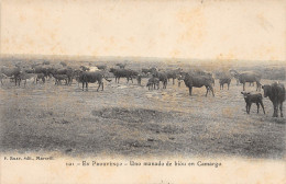 13-MANADE EN CAMARGUE--N 6005-B/0277 - Autres & Non Classés