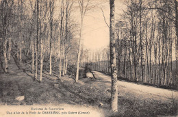 23-FORÊT DE CHABRIÈRE--N 6005-B/0135 - Sonstige & Ohne Zuordnung