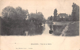 71-BRANGES-Vue De La Seille-N 6004-H/0273 - Autres & Non Classés