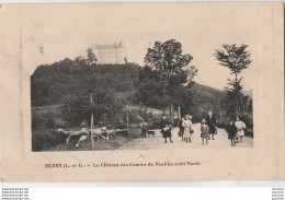 47) BUZET - LE CHATEAU DES COMTES DE NOAILLES (COTE NORD) - ( HABITANTS - BERGER AVEC CHIEN ET MOUTONS - 2 SCANS ) - Andere & Zonder Classificatie