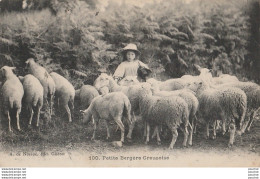 T5-23) PETITE BERGERE CREUSOISE ET SON TROUPEAU DE MOUTONS  - ( 2 SCANS ) - Other & Unclassified