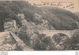 T11-81) MAZAMET (TARN) LE PONT DU BANQUET ET DU VINTROU - ( 2 SCANS ) - Mazamet