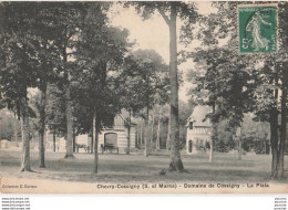 T12-77) CHEVRY - COSSIGNY - DOMAINE DE COSSIGNY - LA PLATA - Otros & Sin Clasificación