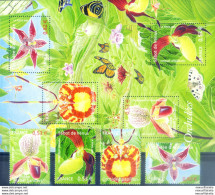 Flora. Orchidee 2005. - Other & Unclassified