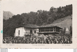 T17- OVIEDO  (ESPAGNE)  PAISAJE ASTURIANO  - ED ARRIBAS - OBLITERATION DE 1953 - ( 2 SCANS ) - Asturias (Oviedo)