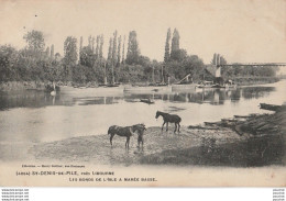 T17-33) SAINT DENIS  DE PILE  , PRES LIBOURNE -LES BORDS DE L'ISLE A MAREE BASSE - ( CHEVAUX - GUILLIER - 2 SCANS ) - Sonstige & Ohne Zuordnung