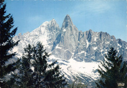 74-CHAMONIX MONT BLANC-N°4007-C/0129 - Chamonix-Mont-Blanc