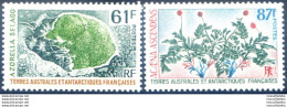 Flora 1974. - Sonstige & Ohne Zuordnung
