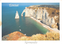 76-ETRETAT-N°4007-B/0209 - Etretat