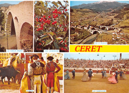 66-CERET-N°4007-B/0193 - Ceret