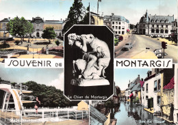 45-MONTARGIS-N°4007-B/0017 - Montargis