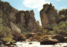 48-GORGES DU TARN-N°4007-A/0301 - Gorges Du Tarn