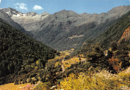 65-LES GLACIERS DU LYS-N°4007-D/0337 - Otros & Sin Clasificación