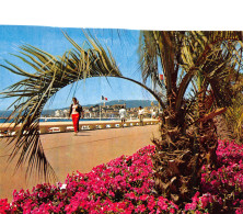 06-CANNES-N°4007-C/0357 - Cannes