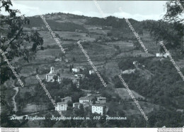 Cg256 Cartolina Rocca Pitigliana Panorama Provincia Di Grosseto - Grosseto