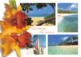 972-MARTINIQUE-N°4008-B/0347 - Sonstige & Ohne Zuordnung