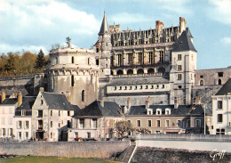 37-AMBOISE-N°4008-B/0009 - Amboise