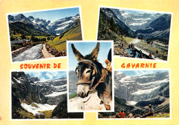 65-GAVARNIE-N°4008-A/0381 - Gavarnie