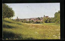 AK Pfullendorf, Blick Zwischen Fuchshalde Und Tiefental  - Pfullendorf