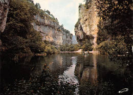 48-GORGES DU TARN-N°4008-A/0099 - Gorges Du Tarn