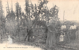 21-BOURGOGNE-Cueillette Du Houblon-N 6006-A/0371 - Autres & Non Classés