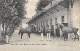 65-TARBES-Haras-Box Des Purs Sangs-N 6006-A/0113 - Tarbes