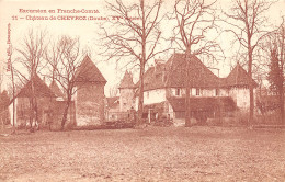 25-CHEVROZ-Château-N 6006-A/0039 - Sonstige & Ohne Zuordnung