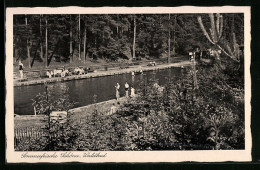 AK Schöna, Badegäste Am Waldbad  - Schoena