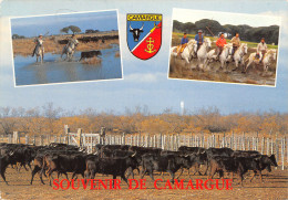 13-CAMARGUE-N°4009-A/0083 - Other & Unclassified