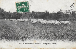 13)   MARIGNANE  - Bords De L' Etang Lou Poncet  (  Berger  ) - Marignane